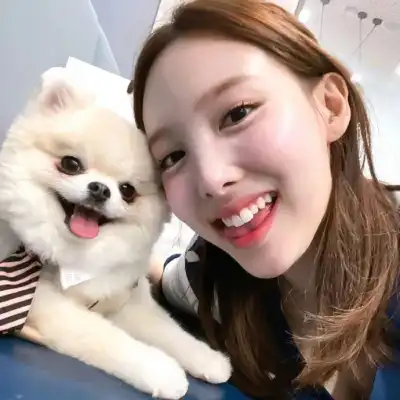 董春奕